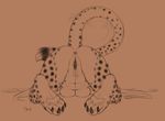  anus bent_over cheetah feline female fluff-kevlar hindpaw inviting mammal monochrome nude paws presenting pussy raised_tail sketch solo 