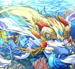  absurd_res ambiguous_gender blue_eyes blush canine cetacean claws coral hi_res looking_at_viewer mammal marine may_(artist) shaorune smile solo sunlight tales_of_rebirth underwater water 