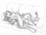  breasts cheetah cum erection feline female fingering gender_transformation herm intersex invalid_tag krischeetah male mammal orgasm penis pussy sabretoothed_ermine transformation 