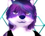  2015 anthro canine clothed clothing dog female fur hair husky invalid_color looking_at_viewer mammal purple_eyes purple_fur purple_hair shine skymafia smile solo wolf 