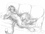  breasts cheetah erection feline female gender_transformation herm intersex invalid_tag krischeetah male mammal penis pussy sabretoothed_ermine transformation 