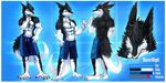  abs anthro beach biceps black_fur black_hair blue_eyes bunic clothing discordnight fur hair looking_at_viewer male mammal muscles necklace pecs science_fiction seaside sergal swimsuit 