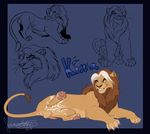  feline jazzlioness lion male mammal 