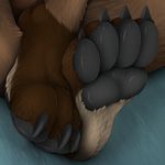  2015 4_toes ambiguous_gender claws foot_focus mammal mustelid otter pawpads paws staggard toe_claws toes 