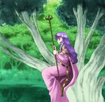  74 cape circlet diadora_(fire_emblem) dress fire_emblem fire_emblem:_seisen_no_keifu in_tree nature purple_eyes purple_hair solo staff tree 