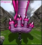  2002 ambiguous_gender anthro armor big_eyes claws clothed clothing cloud dragon duo english_text feet foot_fetish human mammal markie nude open_mouth outside pink_scales purple_scales running scalie size_difference sky teeth text toe_claws 