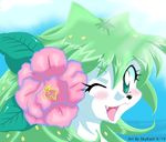  2009 anthro blue_background blush close-up cute female flower green_eyes green_hair green_skin hair legendary_pok&eacute;mon nintendo one_eye_closed open_mouth plain_background plant pok&eacute;mon shaymin skykain solo teeth tongue video_games wink 