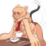  1girl 34no404 :t animal_ears baozi bent_over blazblue blonde_hair braid cat_ears cat_tail clothed_sex dark_skin faceless faceless_male food gloves hood hood_down implied_sex long_hair panties paw_gloves paws red_eyes red_panties solo_focus tail taokaka twin_braids underwear 