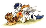  2015 balls big_wings cutie_mark duo equine erection feral friendship_is_magic hat horse kenket male male/male mammal my_little_pony pegasus penis pony sheath smile traditional_media_(artwork) wings 