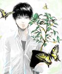  black_hair blue_eyes bug butterfly cocoon drawr insect looking_at_viewer male_focus original plant potted_plant re:i shirt sleeves_rolled_up solo white_shirt 