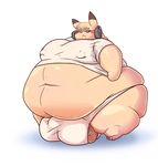  2015 balls big_balls big_butt blush butt clothed clothing eyecandy fur half-dressed head_phones hyper hyper_balls invalid_tag looking_at_viewer male morbidly_obese nintendo obese overweight pikachu pok&eacute;mon shirt sweat video_games yellow_fur 