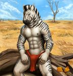  abs anthro balls biceps bulge clothed clothing equine fur hair half-closed_eyes half-dressed loincloth looking_at_viewer male mammal mohawk motaro muscles navel nipples outside pecs sitting smile solo zebra 