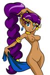  alternate_costume blue_eyes breasts dark_skin earrings jewelry long_hair looking_at_viewer lots_of_jewelry navel nipples nude nude_filter photoshop purple_hair pussy shantae shantae:_risky&#039;s_revenge shantae:_risky's_revenge shantae_(character) smile uncensored very_long_hair 