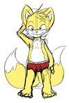  anthro canine clothing fox male mammal miles_prower sega solo sonic_(series) the-man-suicune underwear 
