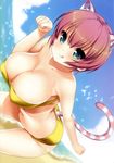  :q absurdres animal_ears beach bikini blue_eyes blush breasts cat_ears cat_tail cleavage cloud day highres large_breasts nanase_meruchi navel original outdoors paw_pose pink_hair short_hair sky solo swimsuit tail tongue tongue_out yellow_bikini 