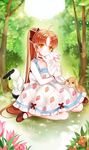  bad_id bad_pixiv_id brown_hair bud89 bunny dress flower hair_ribbon hug lolita_fashion long_hair mary_janes nature orange_eyes original ponytail ribbon shoes sitting smile solo sweet_lolita tree wariza 