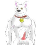  anthro bolt bolt_(film) canine character_from_animated_feature_film disney dog innocentsin male mammal penis solo 