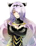  1girl artist_request breasts camilla_(fire_emblem) camilla_(fire_emblem_if) cleavage crossed_arms fire_emblem fire_emblem_if hair_over_one_eye jaibus purple_hair solo 