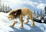  2015 avoid_posting conditional_dnp feline feral fir_tree forest grumpy lion male mammal outside snow solo tani_da_real tree 
