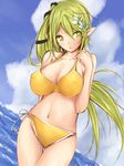  1girl bikini breasts cleavage elsword female green_eyes green_hair hair_ornament large_breasts long_hair navel pointy_ears ponytail rena_(elsword) solo swimsuit 