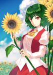  absurdres armband ascot bad_id bad_pixiv_id blue_sky blurry breasts cloud collared_shirt day depth_of_field fingernails flower from_side garden_of_the_sun green_hair hands highres holding holding_flower houmatu_awa kazami_yuuka long_skirt long_sleeves looking_at_viewer medium_breasts open_clothes open_vest puffy_long_sleeves puffy_sleeves red_eyes red_skirt reflective_eyes shiny shiny_hair shirt short_hair sideways_glance skirt sky smile solo sunflower touhou untucked_shirt vest 