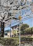  hayashi_ryouta house no_humans original power_lines real_world_location road_sign scenery sign sky tree window 