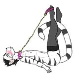  etcchi_moore feline hard_bonesey herm intersex leash male maleherm mammal solo tiger white_tiger 