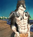  abs biceps black_fur black_hair blue_eyes claws clothing discordnight fur hair mammal mayar muscles necklace pants pecs sergal standing toned 