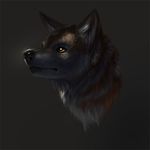  canine dog latex_(artist) mammal realistic wolf 