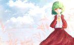  arms_behind_back ascot blue_sky cloud collared_shirt day fanshu green_hair highres kazami_yuuka long_skirt long_sleeves looking_at_viewer petals plaid plaid_skirt plaid_vest red_eyes shirt short_hair skirt sky smile solo standing sunlight touhou vest wind 