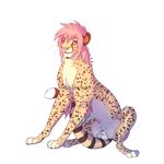  cheetah feline feral jazzlioness male mammal solo 