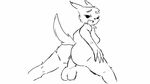  animated anthro canisfidelis cowgirl female nintendo penis pok&eacute;mon pussy video_games zangoose 