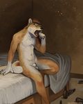  2014 alcohol animal_genitalia anthro balls bed bedroom beer beverage canine claws dog eyewear fur hair male mammal navel nude open_mouth paws sheath solo teeth tongue trunorth yawn 