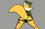  animated anthro canine eyewear female fluffy_tail fox glasses lt._fox_vixen mammal metalslayer military_uniform smile squirrel_and_hedgehog 