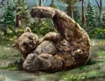  2018 anus brown_bear coypowers female feral forest mammal nipples nude outside pawpads paws presenting pussy solo spreading tree ursine 
