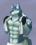  after_shower blue_fur canine clothing croiyan fur gloves green_eyes looking_at_viewer mammal muscles pecs towel wolf 