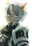  :o animal_ears armor blue_eyes breastplate circlet doraeshi facial_mark final_fantasy final_fantasy_xi gauntlets highres light looking_at_viewer mithra paladin_(final_fantasy) pauldrons short_hair simple_background sketch solo upper_body white_background white_hair 