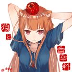  animal_ears ao68 apple_on_head arms_behind_head bad_id bad_twitter_id brown_hair fang food food_on_head fruit_on_head holo long_hair looking_at_viewer object_on_head pouch red_apple red_eyes solo spice_and_wolf twitter_username upper_body very_long_hair white_background wide_sleeves wolf_ears 