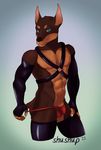  2015 abs anthro blue_eyes bulge canine clothing doberman dog gloves harness legwear looking_at_viewer male mammal muscles nipples pecs plain_background rubber shushup smile solo stockings thigh_highs thong tights underwear 