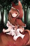  alternate_costume animal_ears arano_oki back breasts brown_hair cosplay dress grimm's_fairy_tales hair_over_one_eye highres hood imaizumi_kagerou large_breasts little_red_riding_hood little_red_riding_hood_(grimm) little_red_riding_hood_(grimm)_(cosplay) long_hair looking_at_viewer looking_back open_mouth red_eyes solo tail touhou tsurime wolf_ears wolf_tail wrist_cuffs 