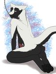  2015 anthro back black_fur blue_eyes claws collar dialogue erection fur kneeling leash looking_back male multicolored_eyes nude pawpads paws penis raised_tail red_eyes sergal solo submissive suggestive text white_fur yaroul 