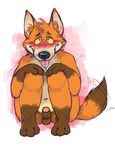  balls blush canine erection fox male mammal nastyspook nude penis precum saliva small_penis solo tongue tongue_out 