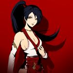  bare_shoulders blue_hair breasts brown_eyes detached_sleeves dh_(brink_of_memories) highres jewelry lips long_hair md5_mismatch medium_breasts momiji_(ninja_gaiden) necklace ninja_gaiden parody parted_lips ponytail red_background shadow solo style_parody 