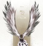  1boy alabasta character_name cloak feathered_wings headband male male_focus necklace one_piece pell solo wings 