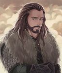  1boy armor beard braids dwarf facial_hair fur king male male_focus middle_earth solo the_hobbit thorin_oakenshield 