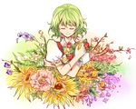  closed_eyes collared_shirt flower flower_request frilled_sleeves frills green_hair happy holding holding_flower kazami_yuuka peaceful shirt short_hair short_sleeves simple_background smile solo thtl touhou vest white_background 