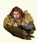  1boy armor beard braids dwarf facial_hair fur king male male_focus middle_earth scale_armor shield solo the_hobbit thorin_oakenshield vambraces 