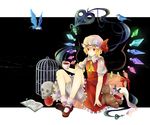  bad_id bad_pixiv_id bird blonde_hair book cage flandre_scarlet hat knife one_side_up ponytail red_eyes short_hair solo stuffed_animal stuffed_toy teddy_bear touhou vitaminlemon wings 