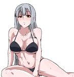  bikini blush long_hair navel oekaki red_eyes selvaria_bles senjou_no_valkyria senjou_no_valkyria_1 silver_hair sima sit sitting swimsuit 