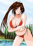  bikini breasts brown_eyes brown_hair king_of_fighters kof large_breasts long_hair ponytail shiranui_mai snk swimsuit 